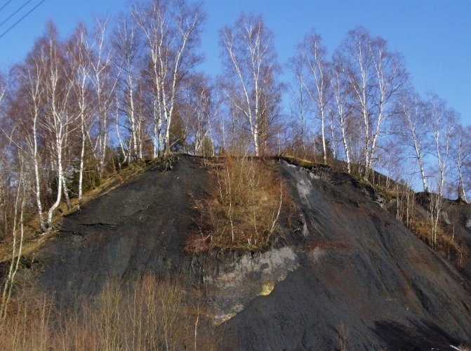 Reaktywacja kopalni w Ludwikowicach